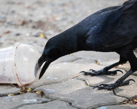 Single-use е думата на 2018-а!