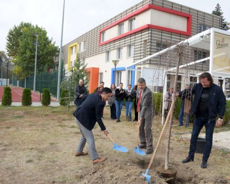 Японци засяха екзотични дървесни видове край Гребната база