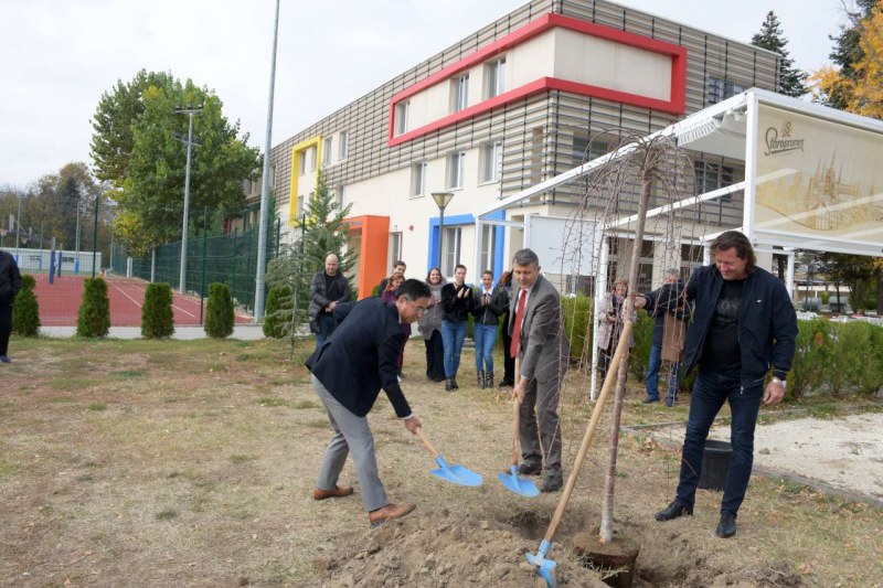 Японци засяха екзотични дървесни видове край Гребната база