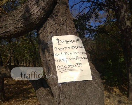 Прибират кучетата от Младежкия хълм панически! А децата!? СНИМКИ