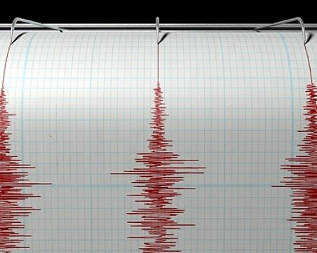 Земетресение друсна Добринище тази нощ