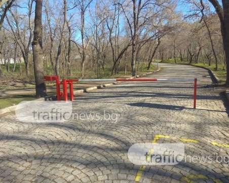 Зверство в Пловдив! Отровиха куче на Младежкия хълм ОБНОВЕНА