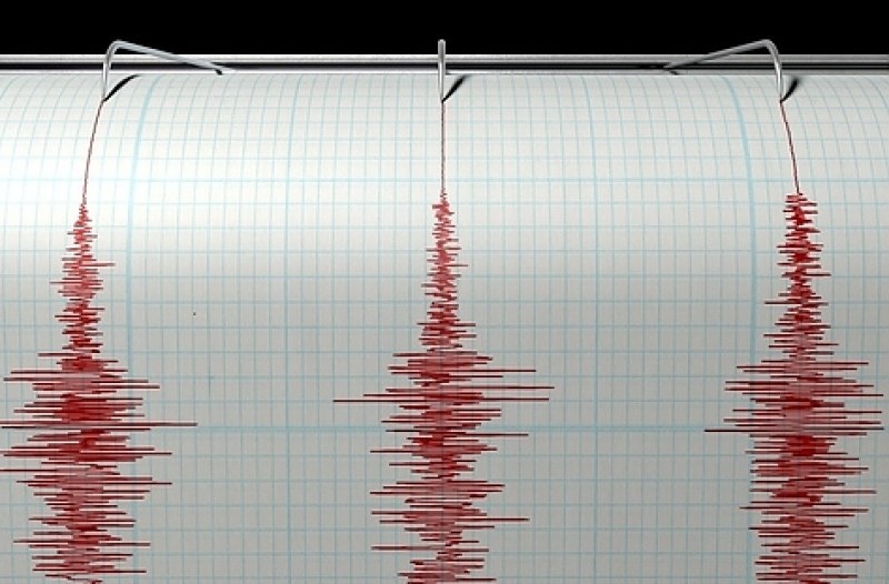 Земетресение друсна Добринище тази нощ