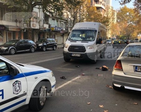 Блъснаха пешеходец в центъра на Пловдив, откараха го с линейка СНИМКИ