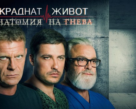 Звездите от 