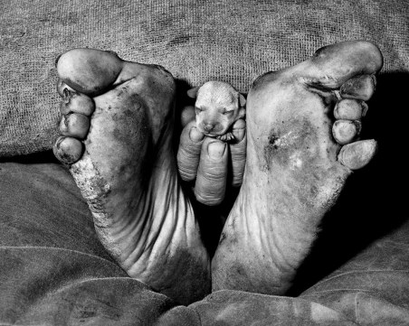 Култов американски фотограф открива днес изложба в Пловдив