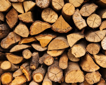 Смолянски горски задържаха над 500 кубика незаконна дървесина