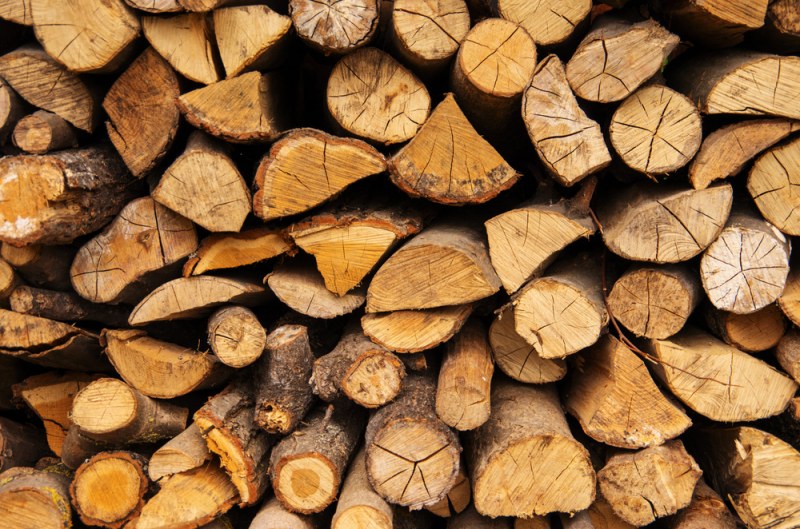 Смолянски горски задържаха над 500 кубика незаконна дървесина