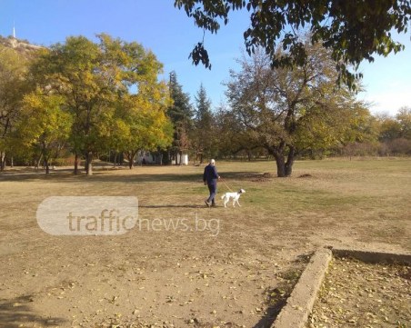 Пловдивските тепета стават като Биг Брадър – слагат камери след хвърлената отрова
