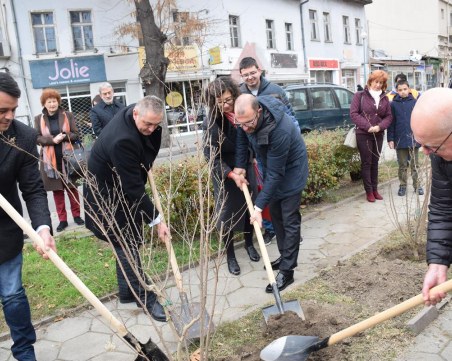 Дървета на шест народа ще цъфтят заедно в Пловдив СНИМКИ
