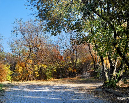 Великолепие от цветове и дъжд от падащи листа - есенният чар на Младежкия хълм СНИМКИ