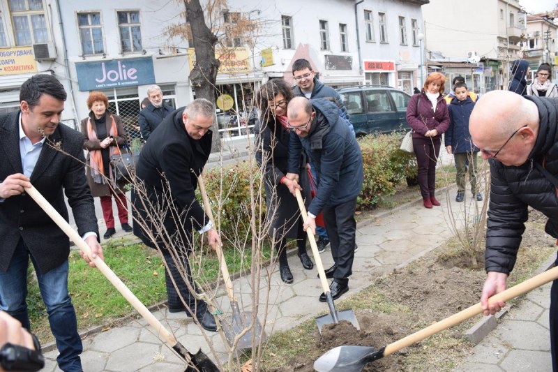 Дървета на шест народа ще цъфтят заедно в Пловдив СНИМКИ