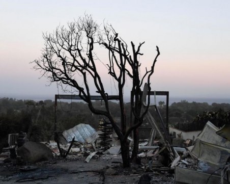 Пожарите в Калифорния - 71 жертви, над 1000 изчезнали