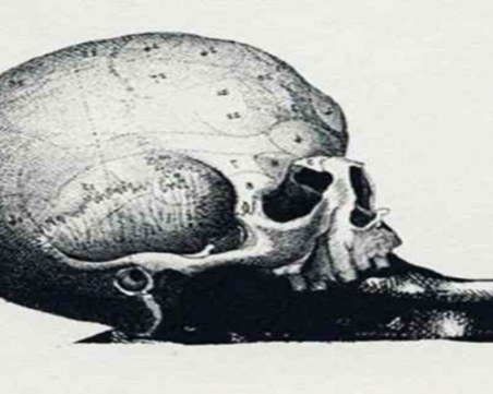 Тест разкрива дали си се насочила към правилната професия