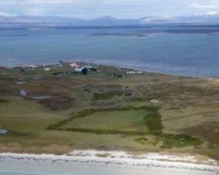 Продават остров, обитаван от пет вида пингвини