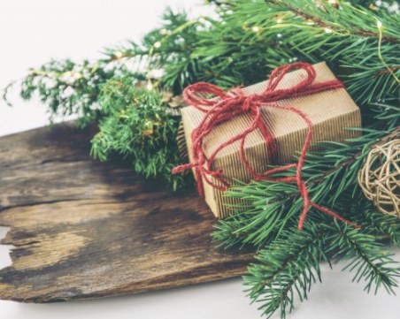 Това коледно ВИДЕО, което струва 100 лева, разплака хиляди