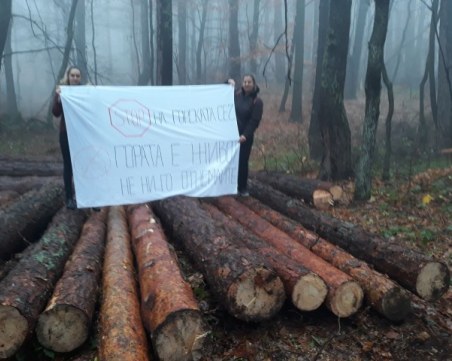 Жителите на Брестовица се вдигнаха на протест СНИМКИ