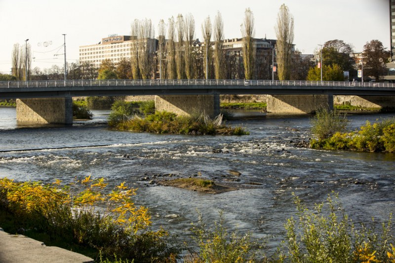 Есенната красота на река Марица СНИМКИ