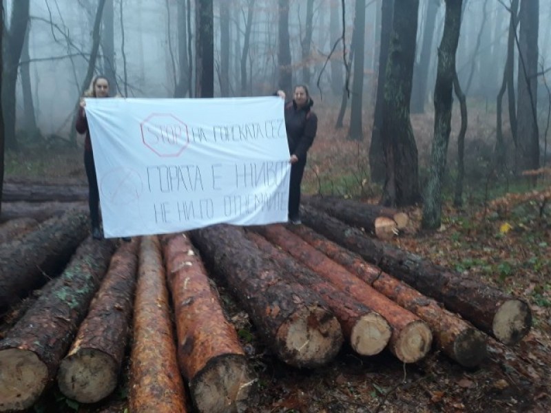 Жителите на Брестовица се вдигнаха на протест СНИМКИ