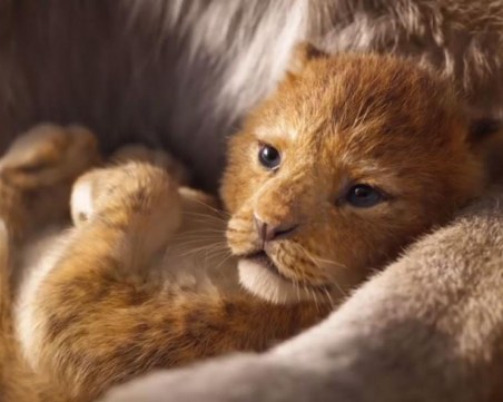 “Цар Лъв“ се възражда на голям екран ВИДЕО