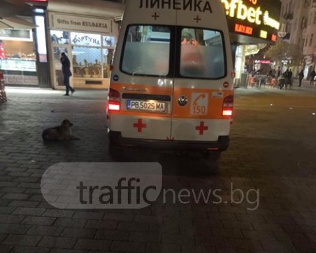 Бой в центъра на Пловдив! Откараха мъж с линейка СНИМКА