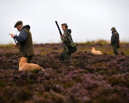 Ще бъдат ли забранени полуавтоматичните карабини за ловците?