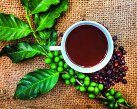 9 ползи за здравето от зеленото кафе