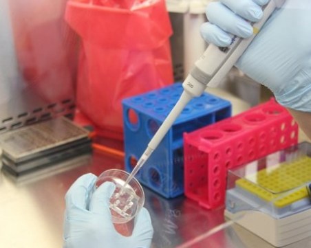 Яйцеклетки се търгуват за 1500 лева на черния пазар