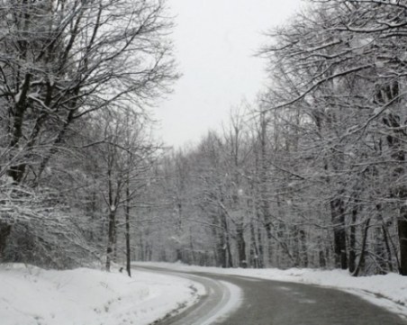 64 машини са чистили пътищата в Смолянско, 12 см сняг натрупа на Рожен