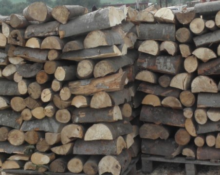 Хванаха с 4600 лева подкуп директор на горско