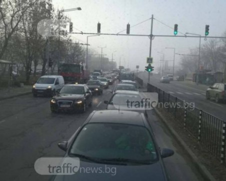 Коя е най-предпочитаната марка автомобили от българина?