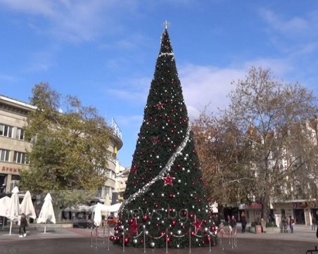 13-метровата елха на Главната вече радва жители и гости на града СНИМКИ