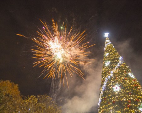 Уникални СНИМКИ показват красотата на коледната елха в Пловдив