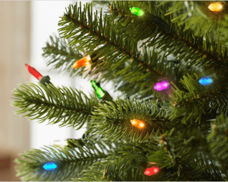 Откриват новия парк в Тракия и палят светлините на елхата в района