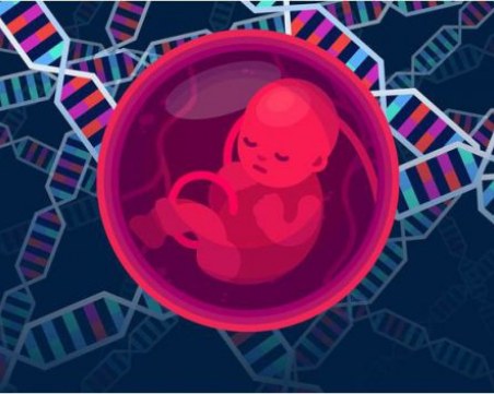 Харвард също започва експерименти с редакция на човешкия геном
