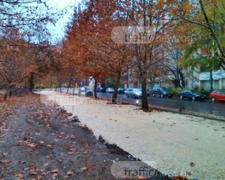 Велоалея по “Свобода“ все пак ще има! Ето как ще се разраства веломрежата в Пловдив