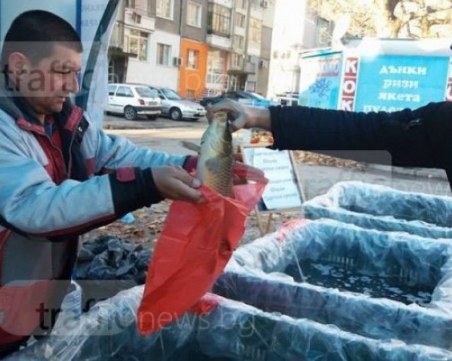 Само за седмица са извършени 440 проверки на обекти с риба в страната