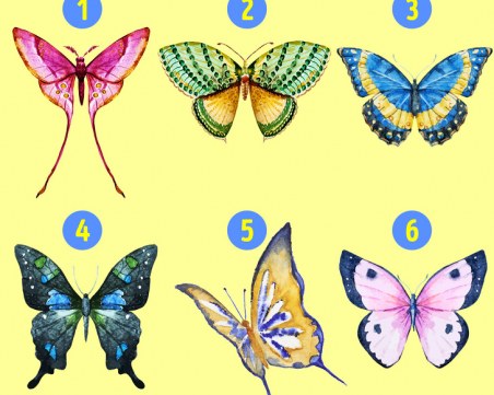 Избери си пеперуда и разбери скрити страни на личността ти