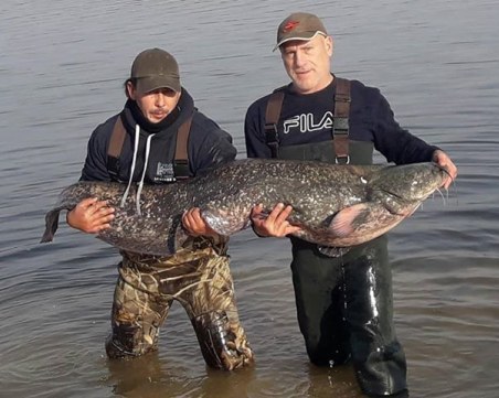 Пловдивчанин откупи 38-килограмов сом и му подари живот СНИМКИ и ВИДЕО