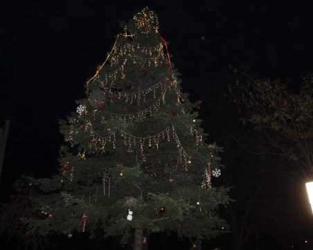 Коледно настроение завладява и Смирненски! Палят светлините на елхата