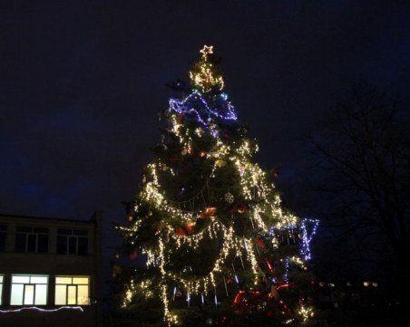 Жива елха грейна в Пловдив! Коледен дух обзе малки и големи СНИМКИ