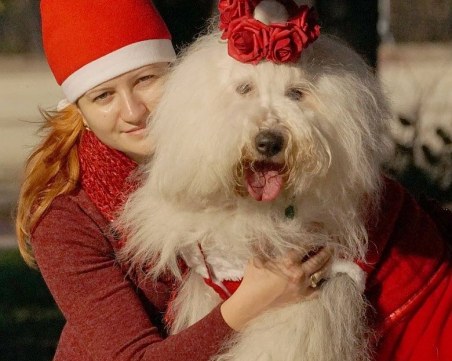 Пловдивски ученици и кучето Мон събират средства за онкоболни деца