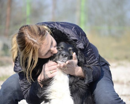 Ти търсиш своя дом, те също! “Явлена“ прави благотворителен базар за кучетата от приюта в Пловдив