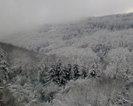 Открито е тялото на изгубилия се турист в Стара планина