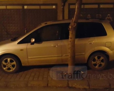 Пловдивчанино, поради що се срамиш да се наречеш майстор шофьор?!