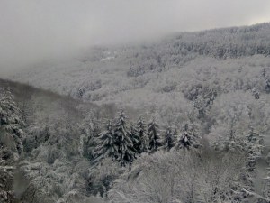 Открито е тялото на изгубилия се турист в Стара планина