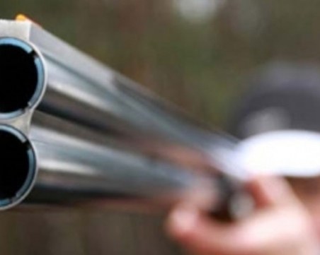 Арестуваха мъж, прострелял овчарско куче край Велинград