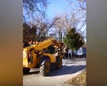 Машини местят дръвчетата от площад Централен в Цар-Симеоновата градина ВИДЕО