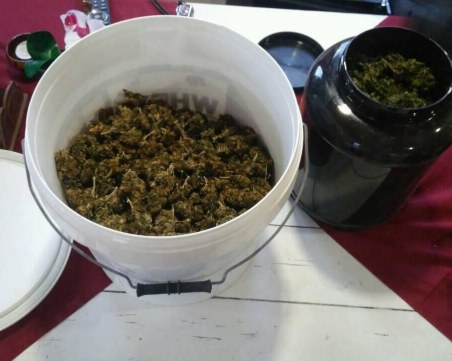 Закопчаха баща и син, съхранявали големи количества пико и трева в кофи за сирене