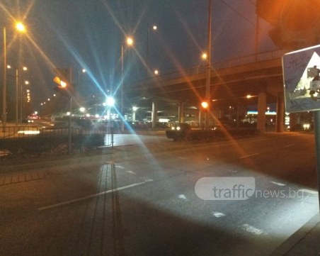 Пловдивчанин: Опасна зебра на 